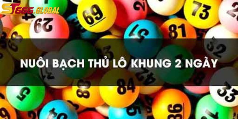 Lý do nuôi bạch thủ lô khung 2 ngày